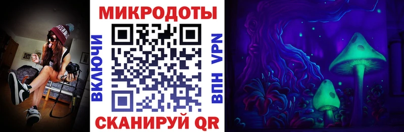 Галлюциногенные грибы Psilocybe Кострома