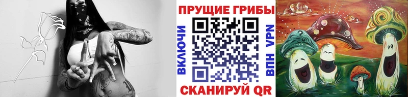 купить  сайты  Кострома  даркнет Telegram  Псилоцибиновые грибы мухоморы 